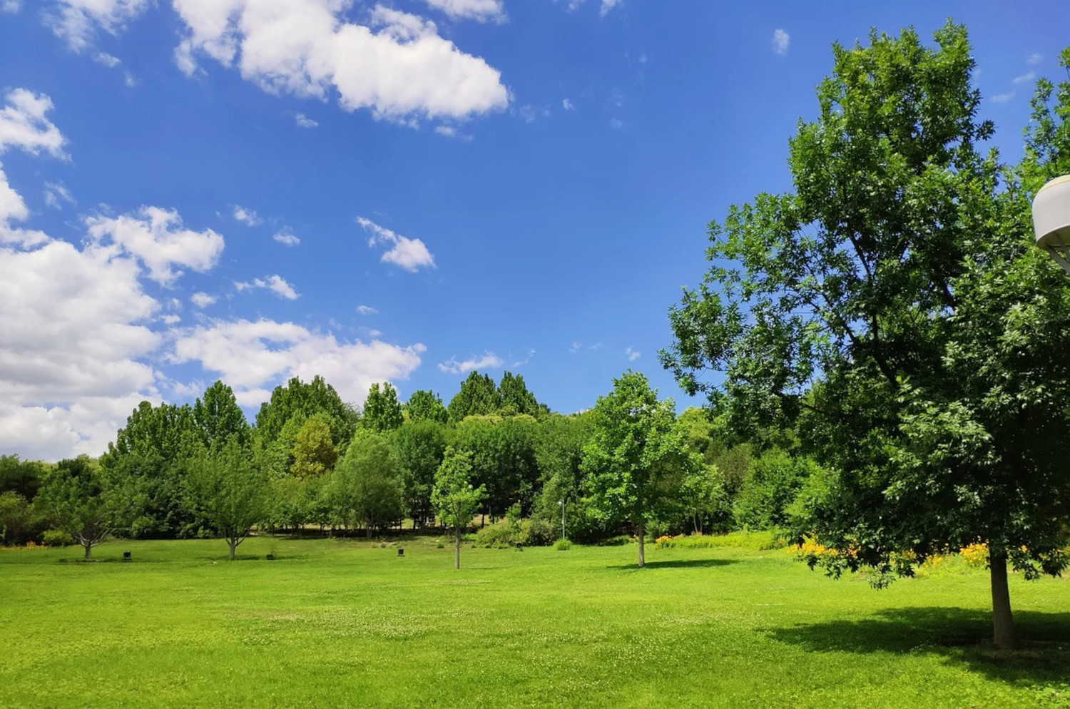 Why green space growth is great for landscapers