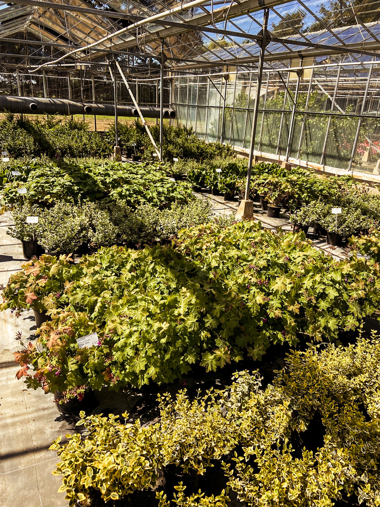 Peat_Free_4-2_50
