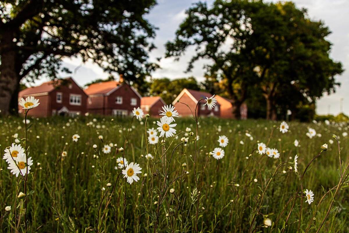 Minerva Heights, Chichester