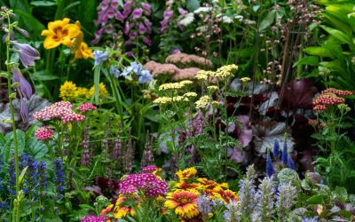 Why some green spaces feel right in spring, and others don’t