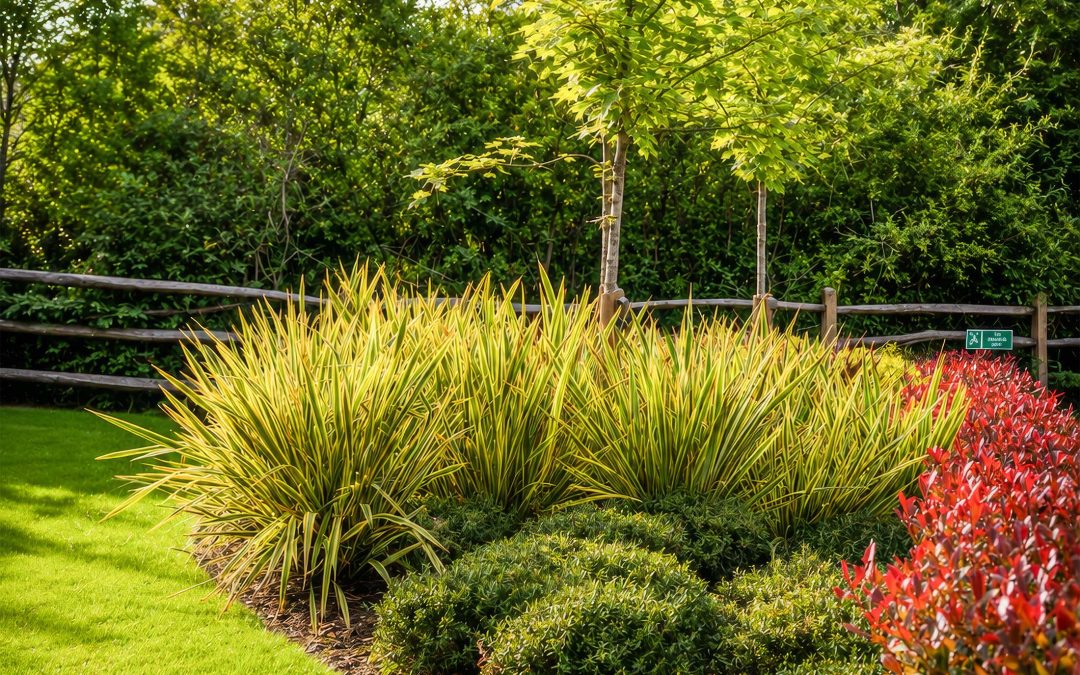Watering a new-build landscape through a UK summer: what the contractor actually does